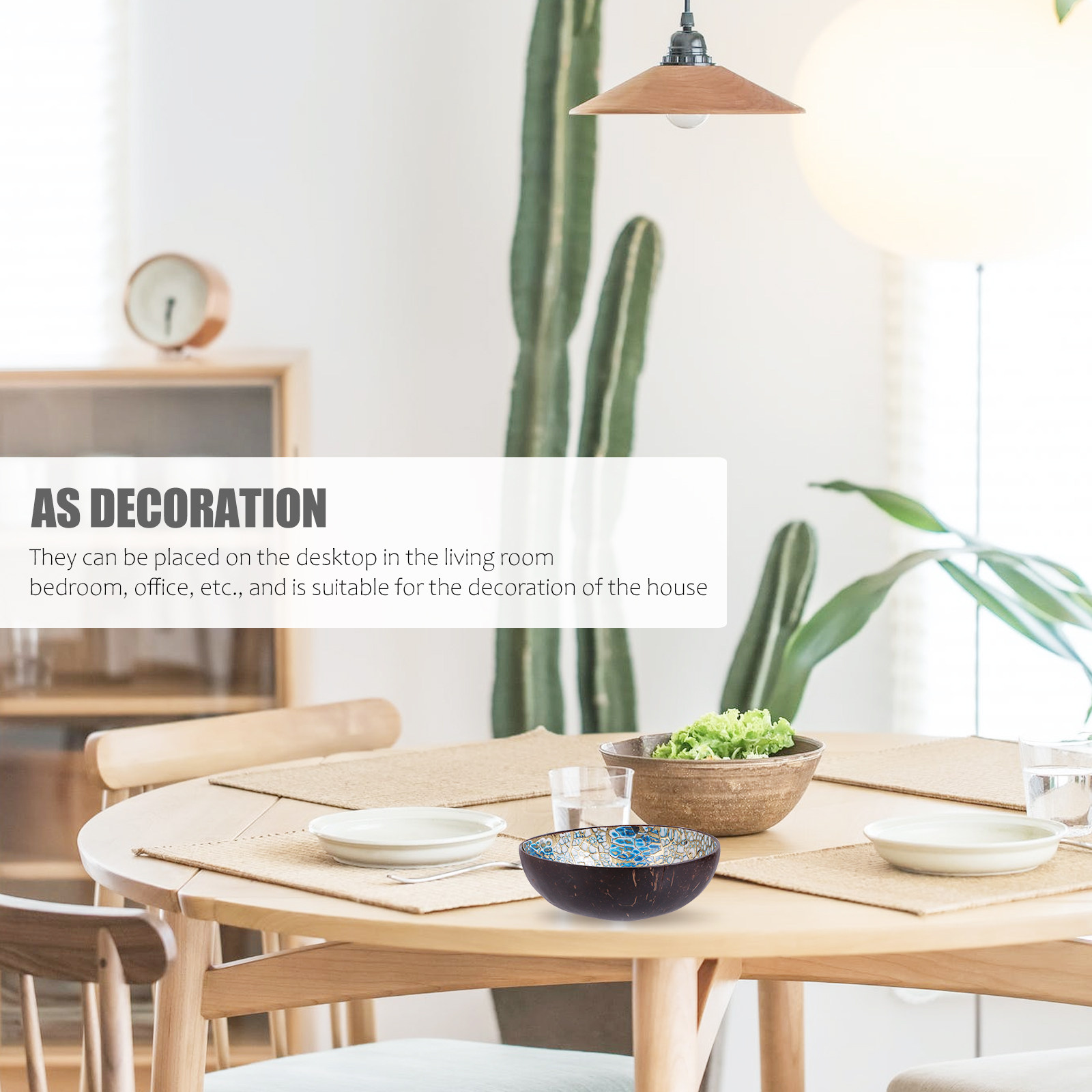2 Stück Kokosnussschalen-Schüs – Sustainable Living Homes Bewertung und Preis